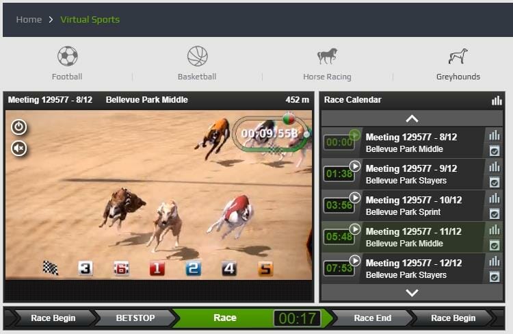 Virtual Greyhounds race comes to an end at NetBet